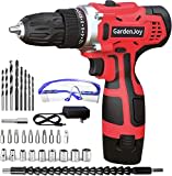 QILA 20V MAX Cordless Drill and Driver, 3/8'' Keyless Chuck, Power Drill  Cordless Set with 2.0Ah Battery & Charger, Electric Drill with Variable